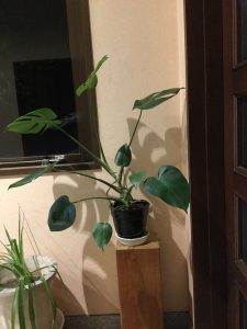 お引越し