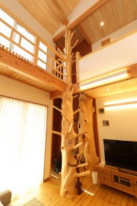 木登り　ボルダリング　楽しめる家