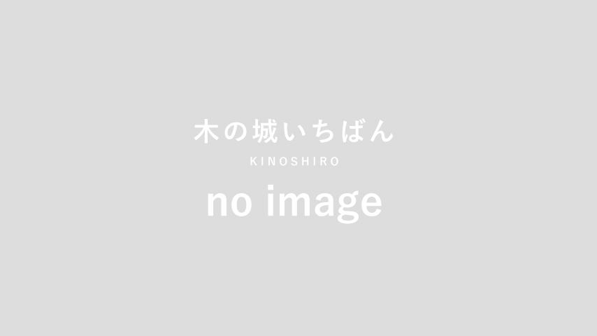 木の城_不足画像イメージ854x480px